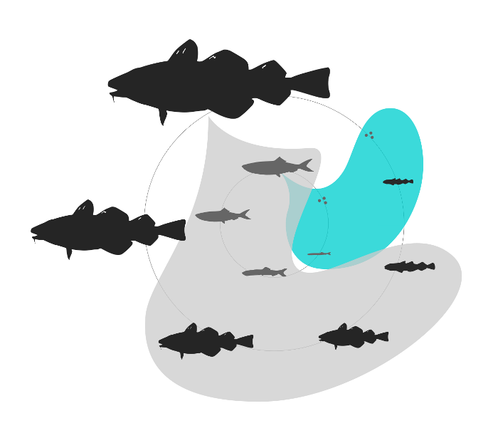 Size Based Model - Illustration (700x615)