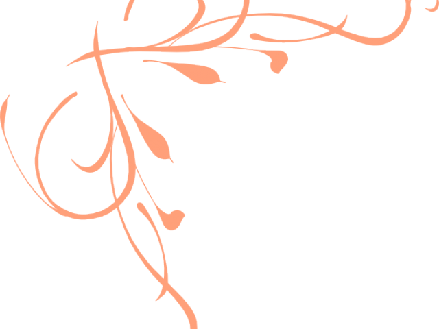 Flourish Clipart Peach - Calligraphy (640x480)