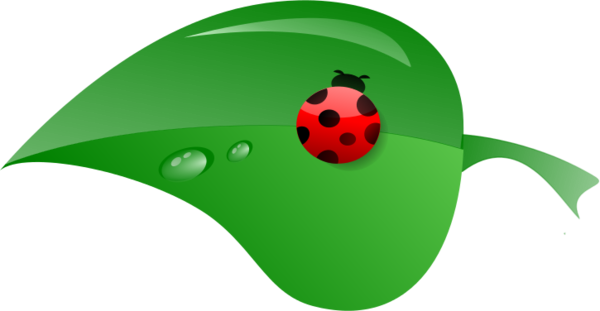 Leaf Clipart Ladybug - Ladybug On A Leaf Clipart (600x311)