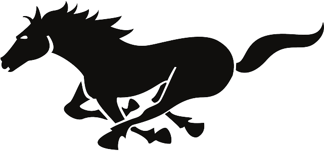 Black, Silhouette, Horse, Running, Action, Run, Animal - Running Horse Silhouette Png (640x320)