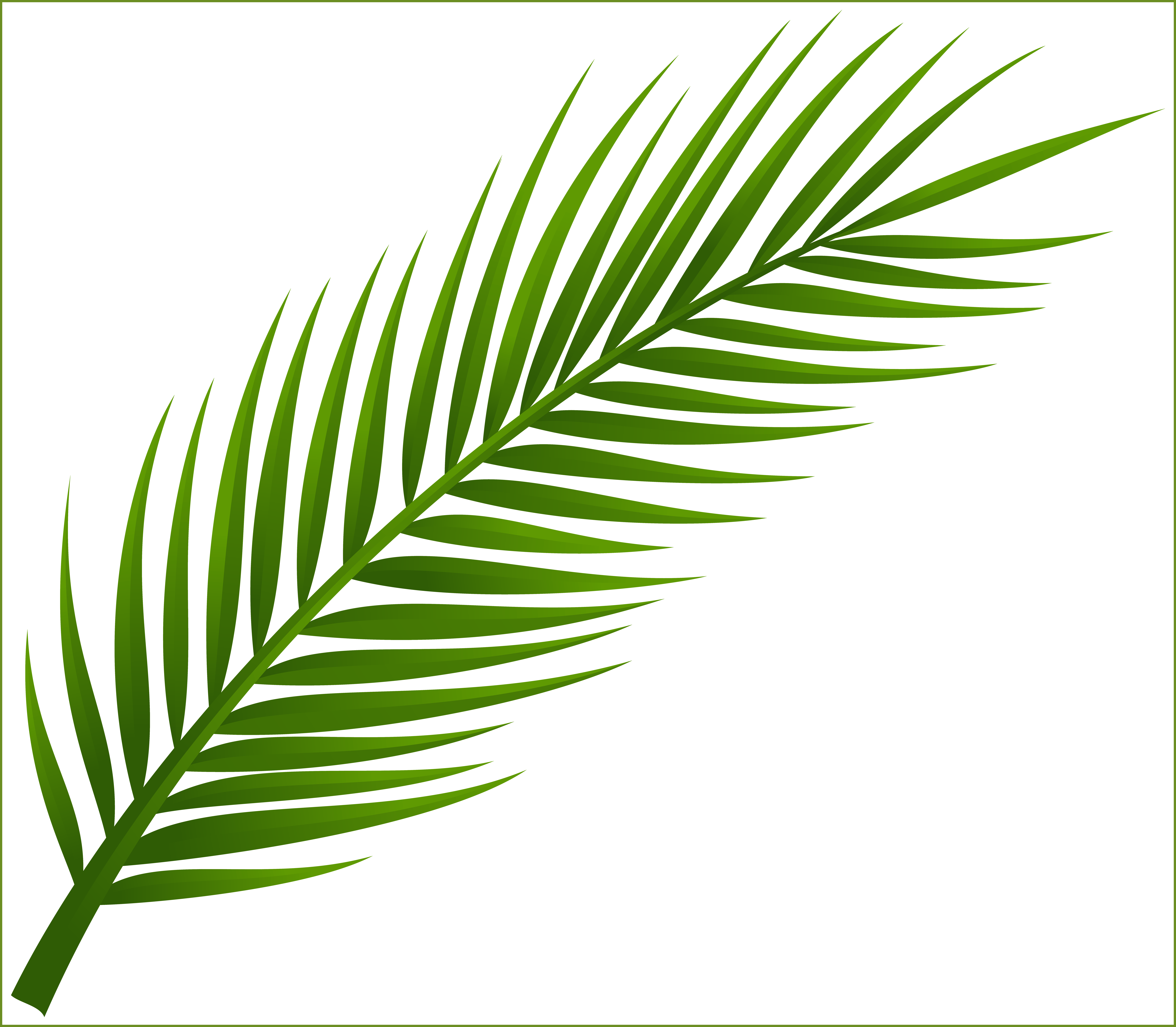 Unbelievable Palm Tree Leaf Png Clip Art Tatts For - Unbelievable Palm Tree Leaf Png Clip Art Tatts For (8030x7013)