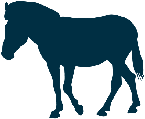 Horse Silhouette Horse Silhouette - Cavalo Andando Png Movimento (512x512)