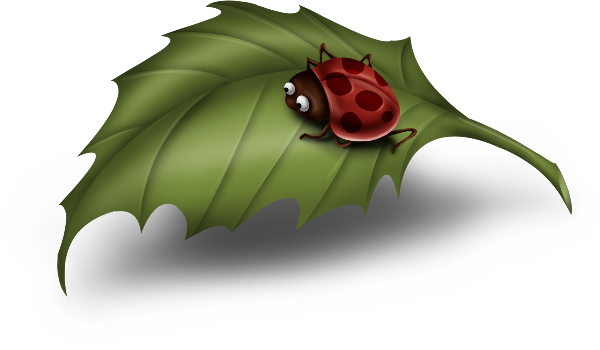Leaf Clipart Cartoon - Ladybird On Leaf Clipart (600x350)