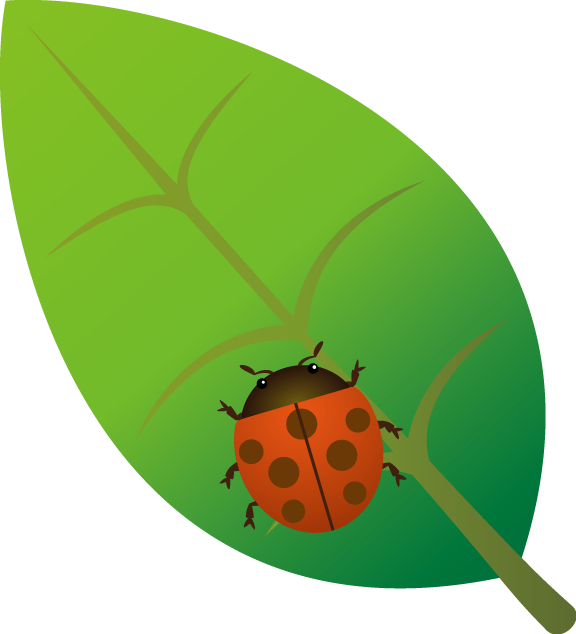 テントウムシno06テントウムシイラスト - Ladybug (576x634)