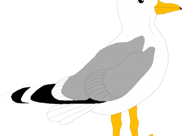 Seagull Clipart Small - Seagull Cartoon (640x480)