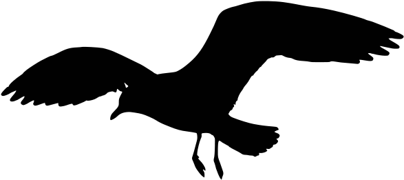 Fileseagullbansin2 Silhouette Bw - Seagull Silhouette Png (1024x682)