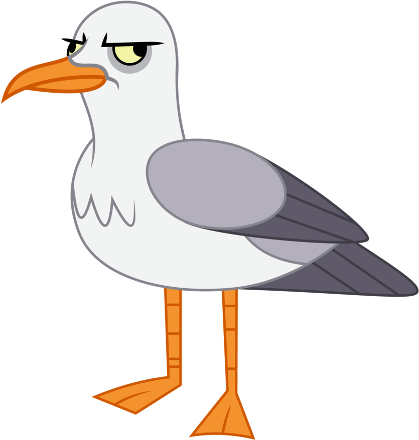Amarthgul, Bird, Safe, Seagull, Simple Background, - Gull (894x894)