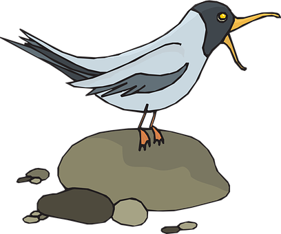 Gull, Seagull, Sea-gull, Bird, Wildlife - Screech Clipart (408x340)