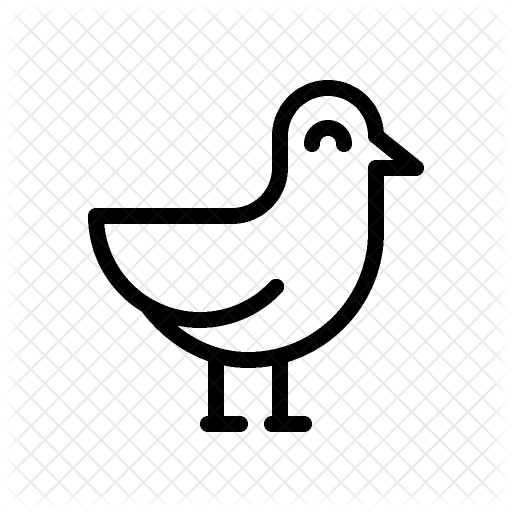 Seagull Icon - Gulls (512x512)