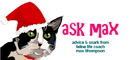 Ask Max Monday - Santa Hat Clip Art (540x238)