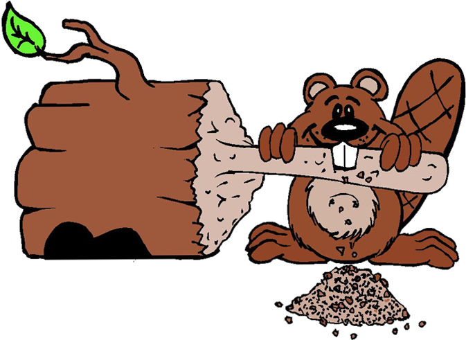 We Are Busy As A Beaver Building This Week's Entertainment - Busy As A Beaver (680x497)