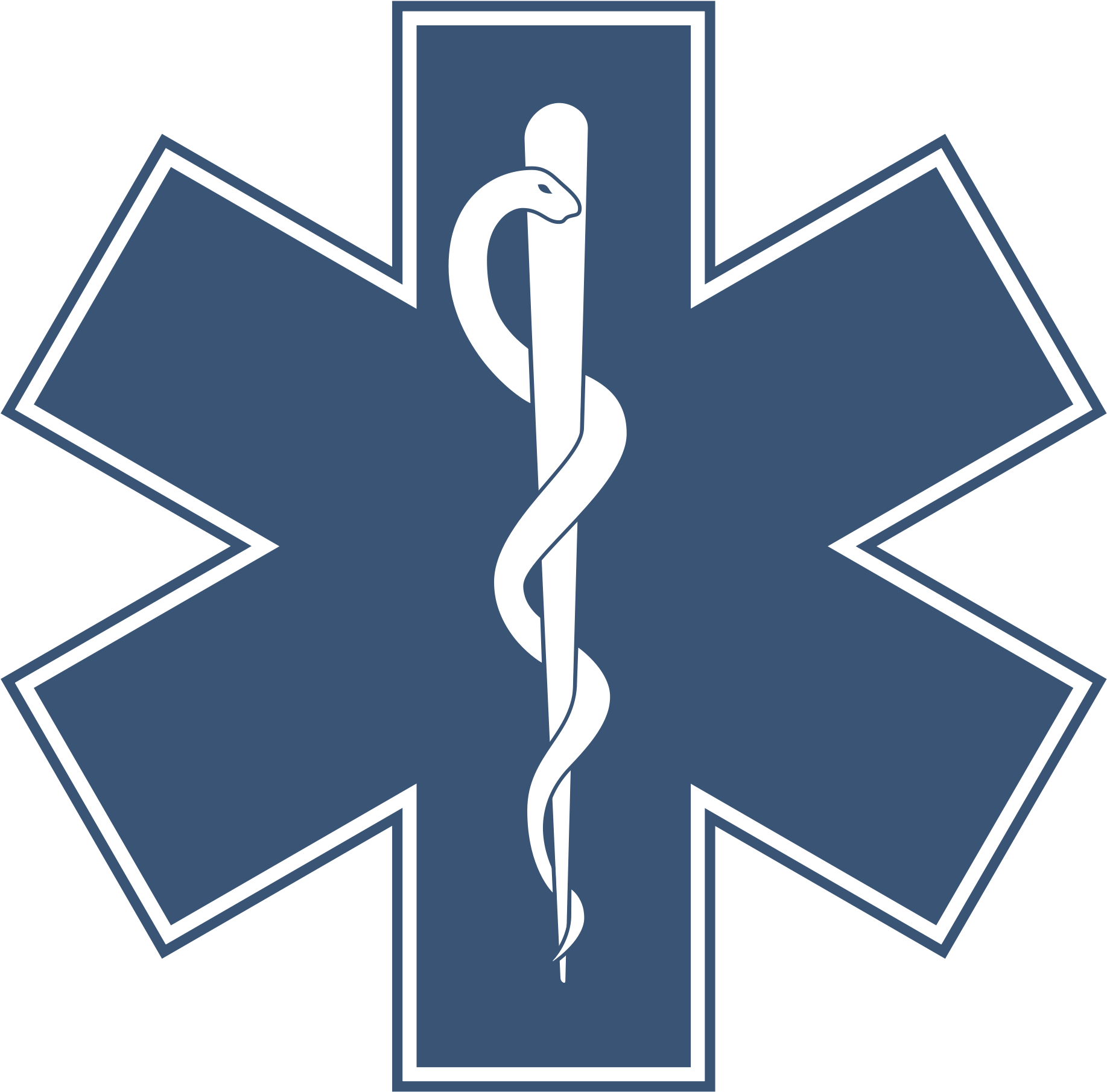 Emergency Medical Services Logo Vector Images Gallery - Star Of Life Png (2000x1939)