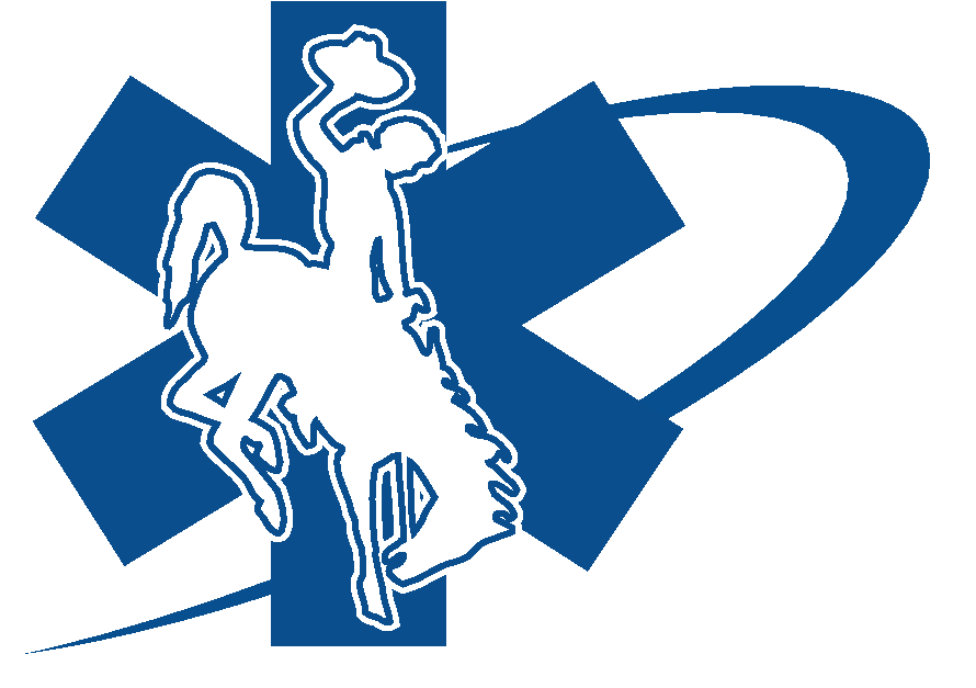 Emergency Medical Services Logo - Bucking Horse And Rider (905x673)