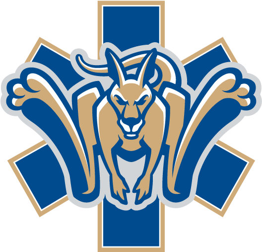 Ems Emergency Medical Service Personnel Logo Graphic - State University Of New York At Canton Athletics (582x587)