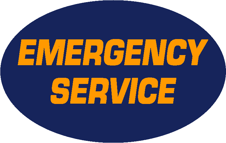 An Esd Is A Fixed Taxing District - Emergency Services Logo (737x465)