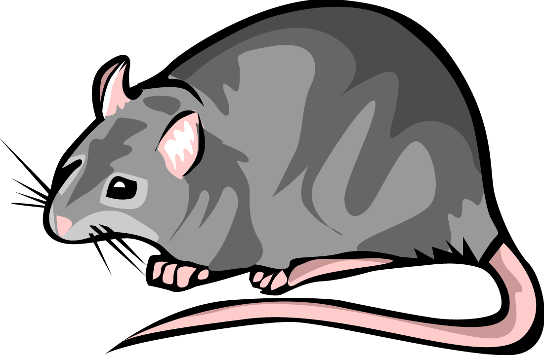 Rat Clip Art Free Clipart Images - Rat Clipart (1101x720)