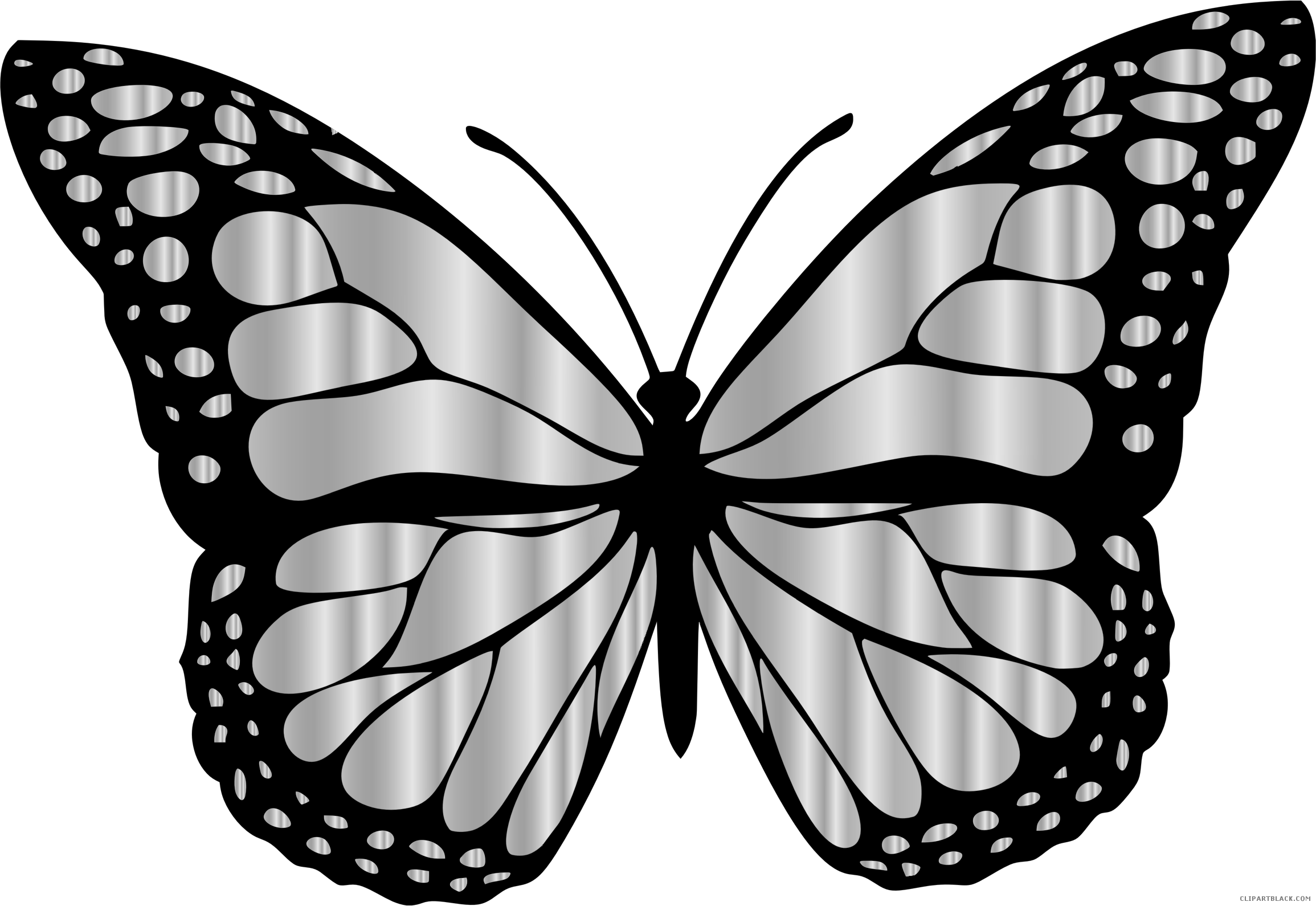 Monarch Butterfly Animal Free Black White Clipart Images - White And Black Butterfly (2310x1590)