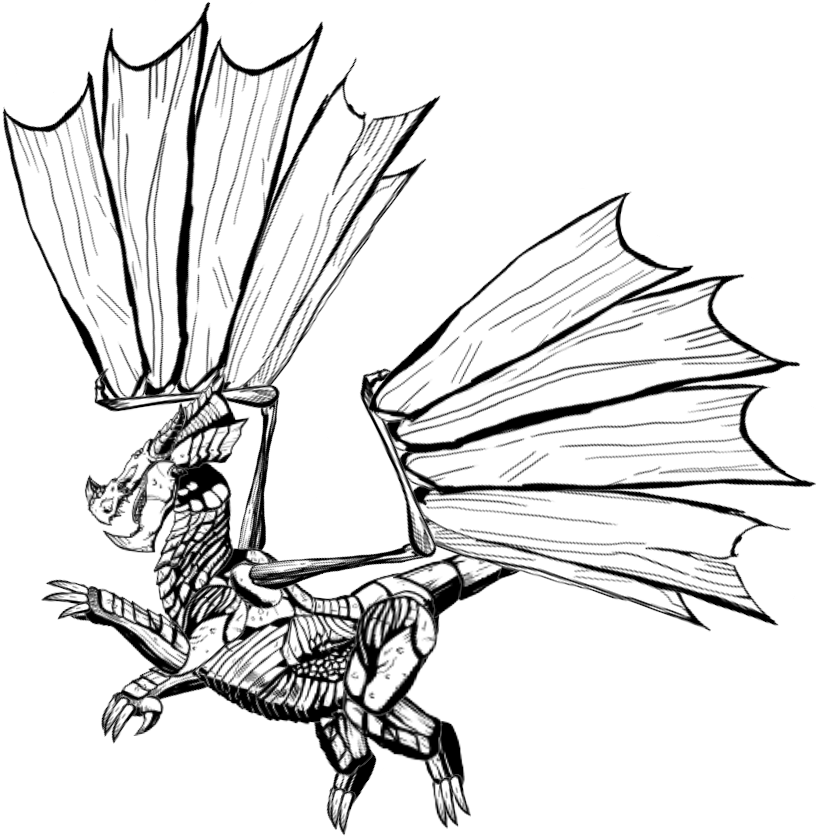 Dragon 2d Animation Designed In Spine - Animation (817x836)