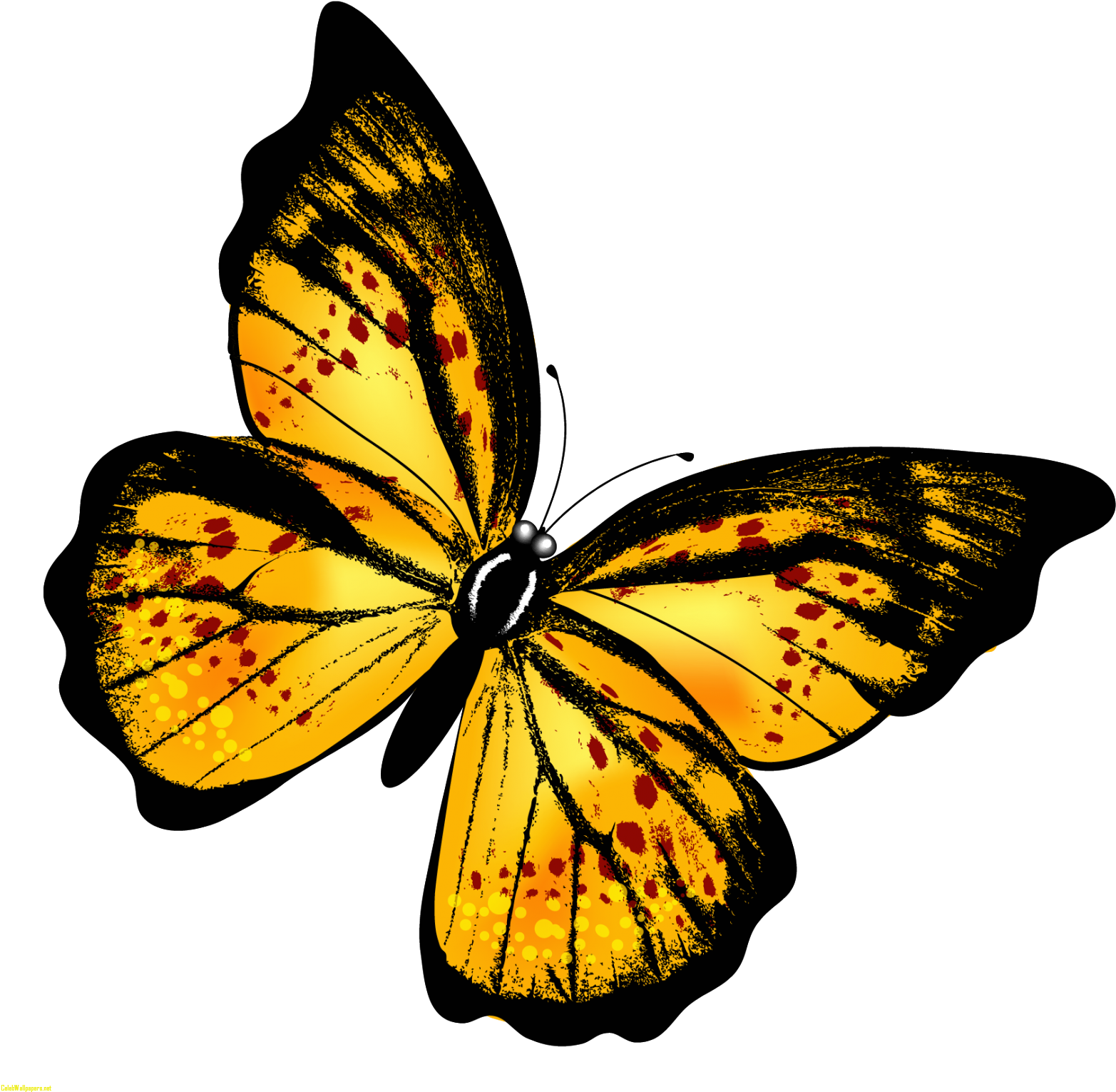 Monarch Butterfly Clipart Hindu God - Per Aspera Ad Astra [book] (1600x1596)