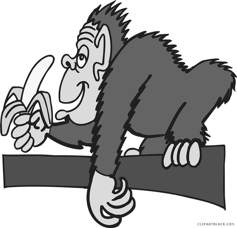 Monkey With Banana Animal Free Black White Clipart - Gorilla Eats Banana Cartoon (800x769)