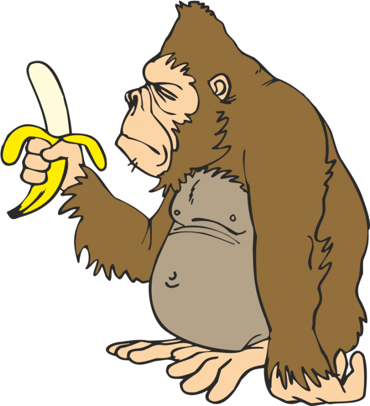 Gorilla Ape Banana Animation Clip Art - Gorilla Mit Banane (800x800)