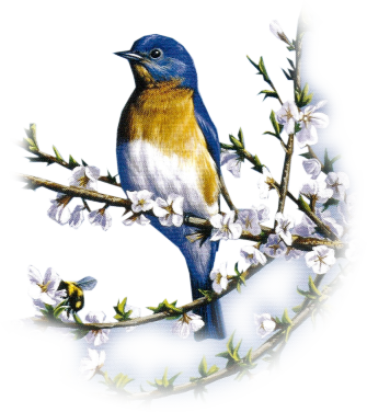 Bd-05 - Deus Te Proteja Filha (335x376)