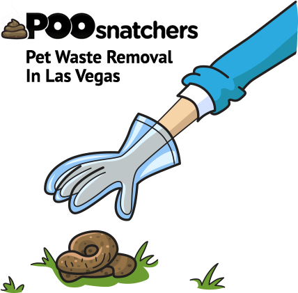 Dog Poop - Dog Poop Pick Up (450x420)