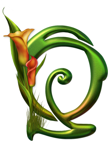 Abc Ars Botánica - Q Alphabet (372x512)