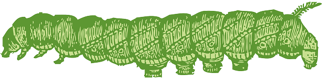 Worm Clipart Straight - Custom Green Caterpillar Shower Curtain (640x320)