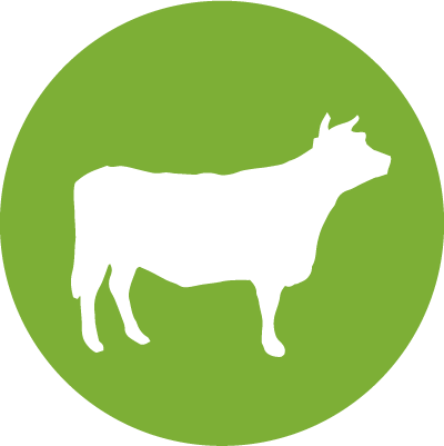 Beef - Pig (400x401)