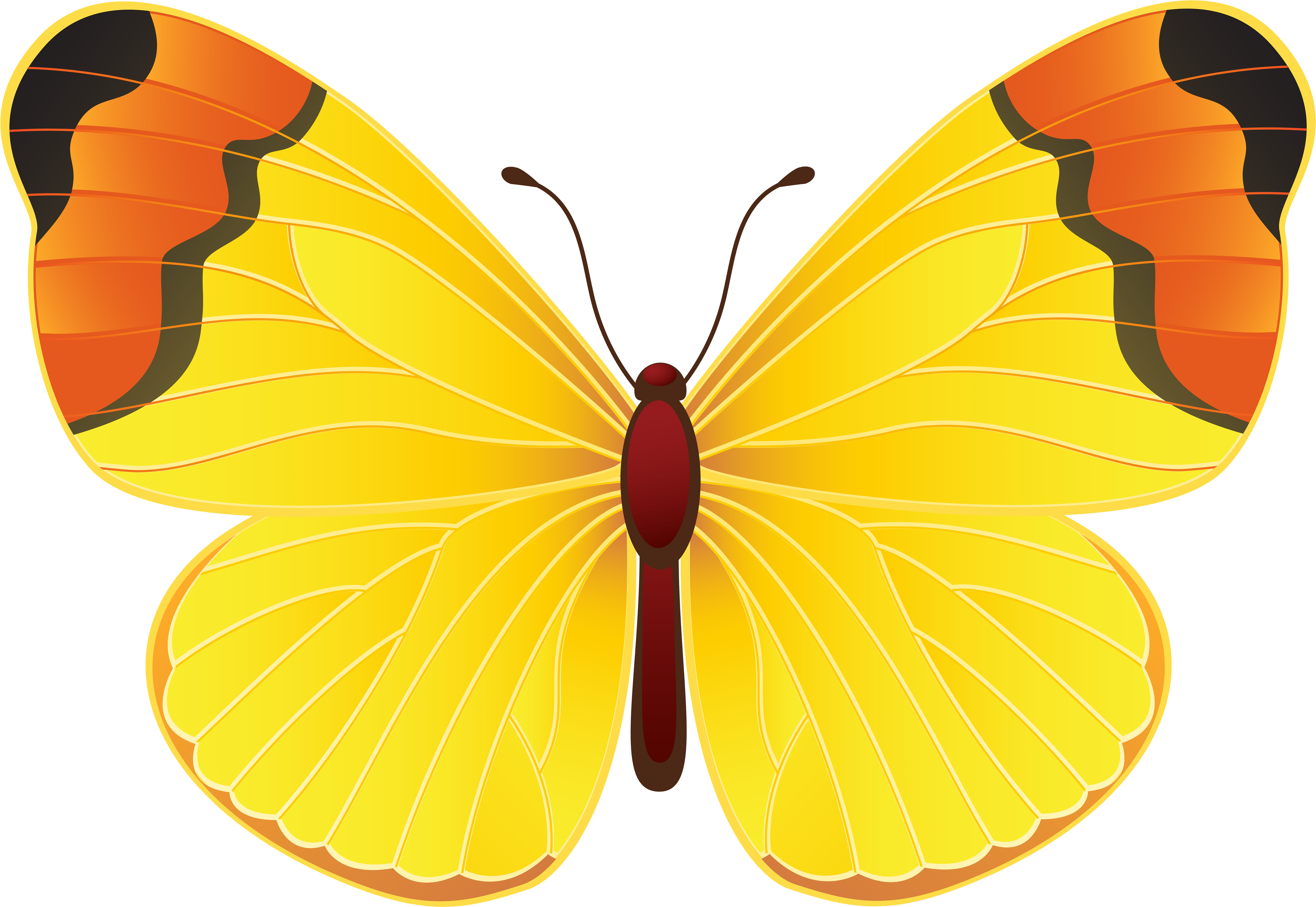 Yellow Butterfly - Large Copper (8000x5551)