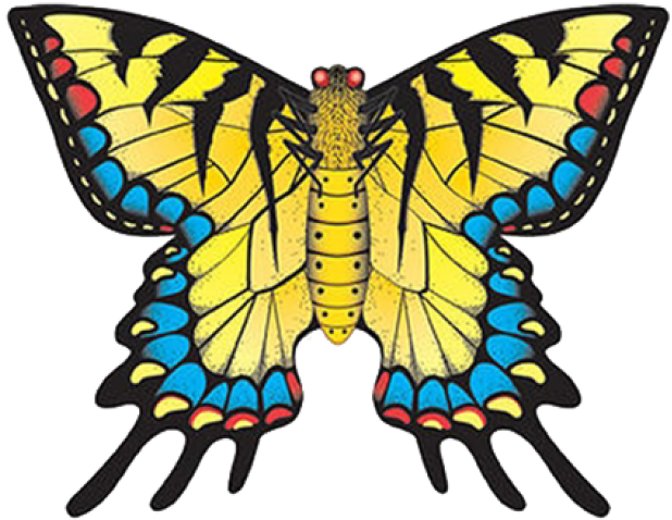 Swallowtail Butterfly Kite - Windnsun Swallowtail Butterfly Nylon Kite-80cm Wide (728x728)