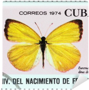Dina Yellow Butterfly (cuba 1974) Wall Mural • Pixers® - Sleepy Orange (400x400)