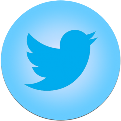 Bird Blue Twitter Icon Png Images Png Images - Twitter Icon Png Free Download (400x400)