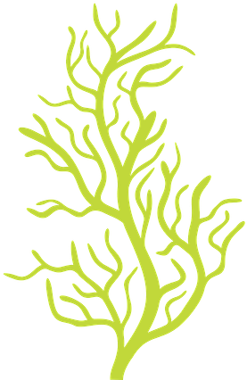 Bubble Clipart Sea Bubble - Bubble Guppies Minus (286x438)