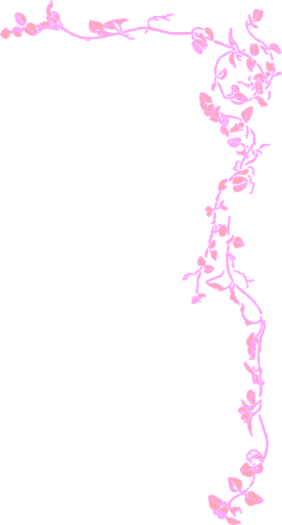 Pink Borders Cliparts - Word Borders (318x591)