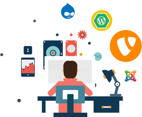 Wordpress Development Services In Mumbai - Web Development (462x380)