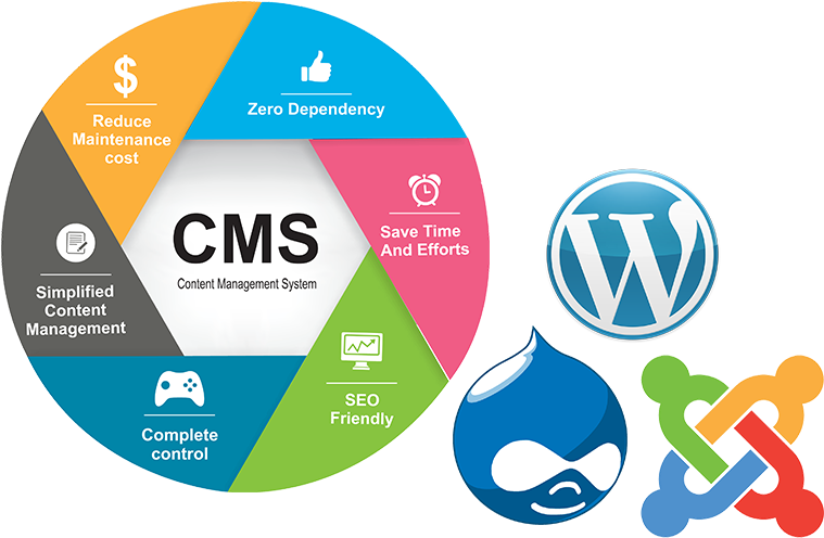 Website Content Management - Wordpress Icon (805x537)