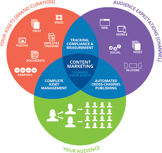 Branding Solutions Lanzarote, Web Design & Web Development - Diagram (555x526)