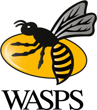 Away - London Wasps (350x380)
