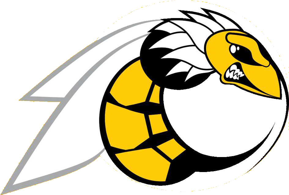 Cfl, Arena As Well As Professional International Teams - Sorriso Hornets (960x960)