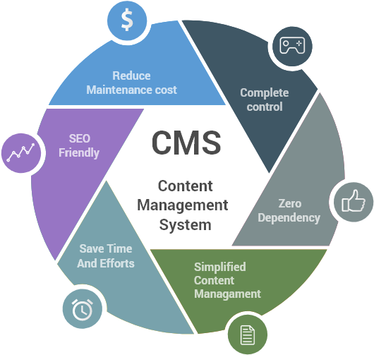 When Looking For A Solution To Creating A Website You - Digital Transformation In Hr (536x518)
