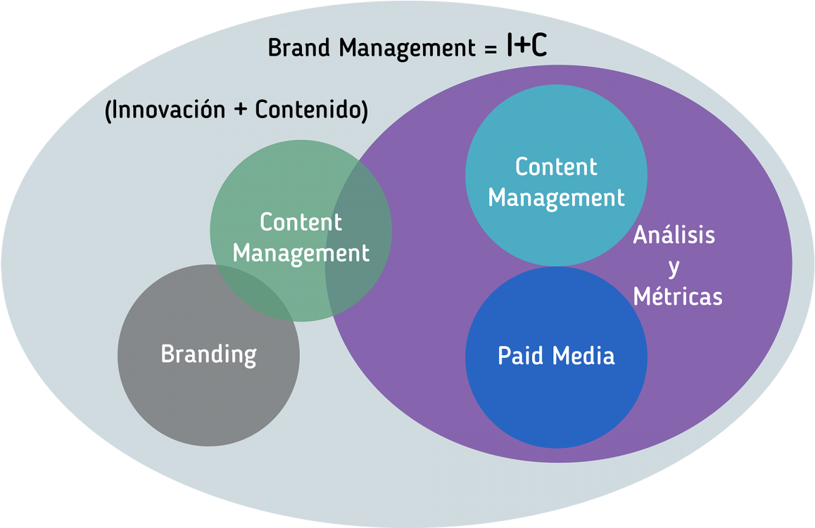 Por Lo Que Hemos Plasmado En Burbujas Simulando El - Circle (1200x750)