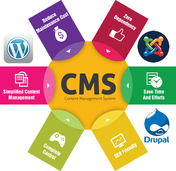 Content Management System Based Website Packages - Content Management System Trend (561x546)