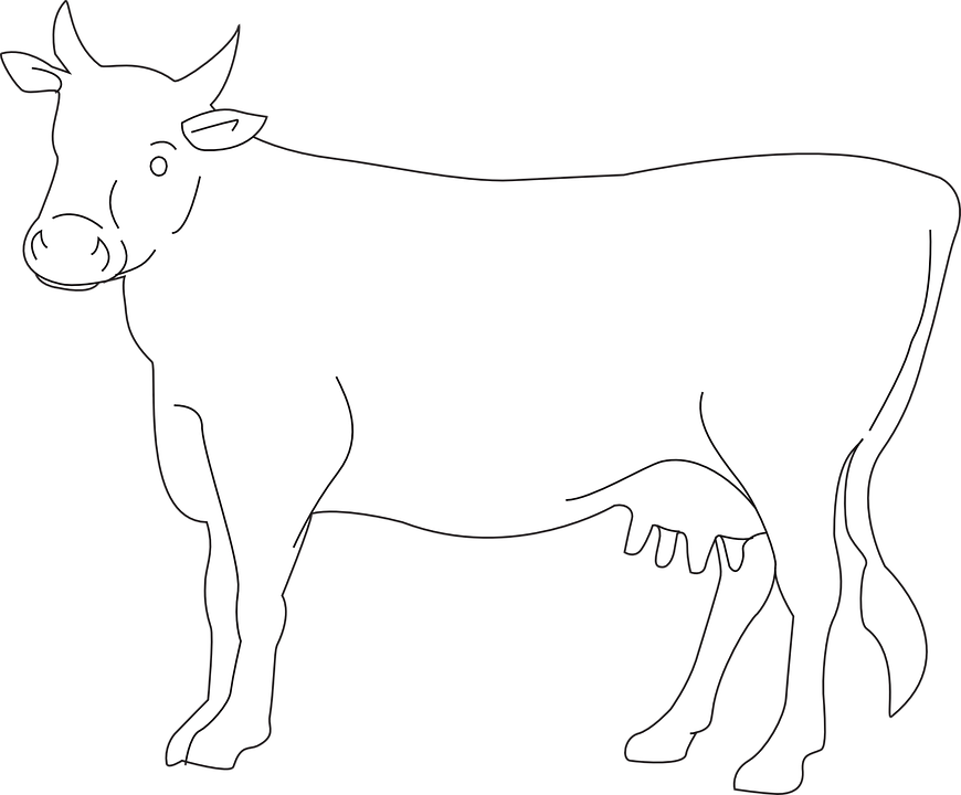 Animals Clipart Cow Black White Outline Clipart - Cow Drawing Side View (870x720)