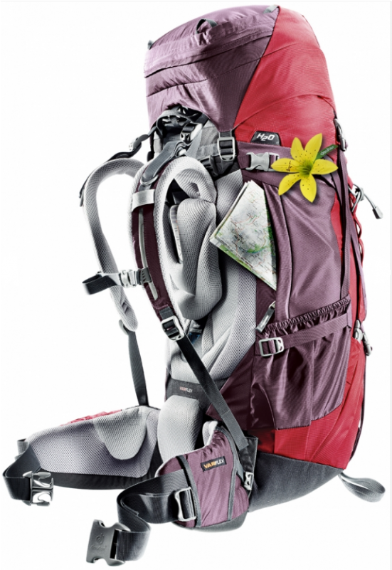 Rodyti Visas Nuotraukas - Deuter Aircontact 60 10 Sl Backpack Women's (700x800)