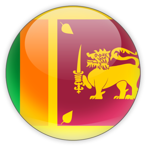 Illustration Of Flag Of Sri Lanka - Sri Lanka Vs Tamil Tigers (640x480)