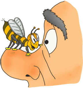 Bee On My Nose - Bee Sting On Nose (365x379)