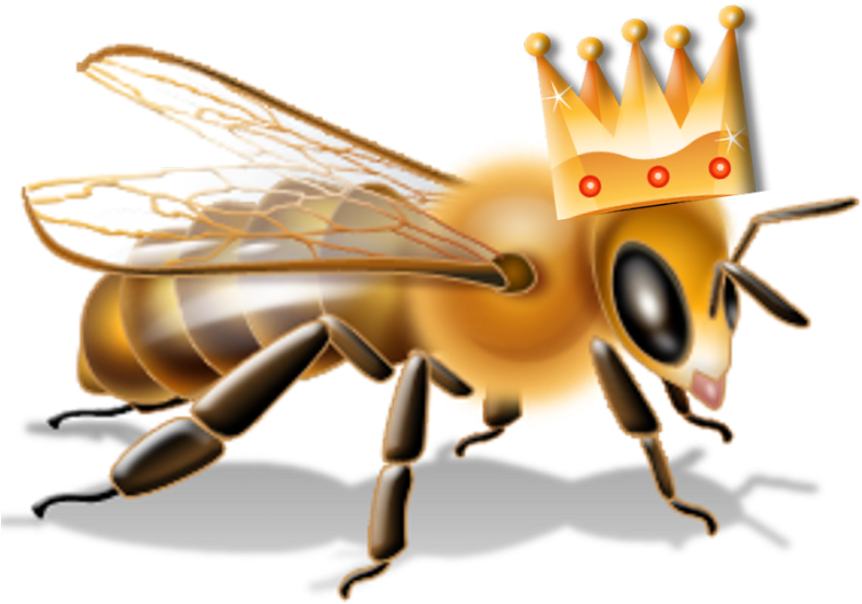 Do You Work For A “queen Bee” This Label, Coined In - Flying Bee (800x800)