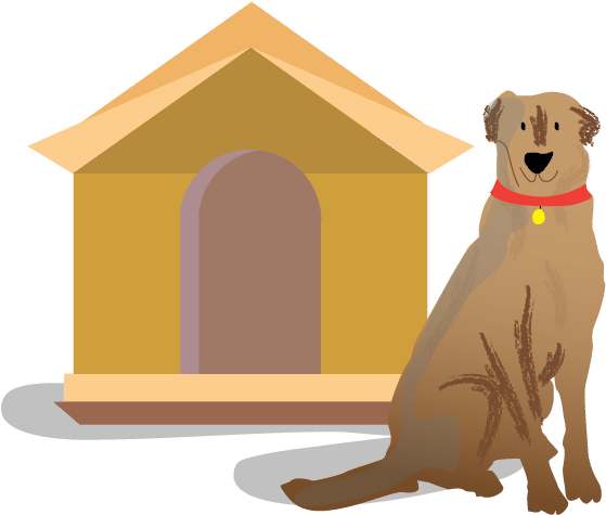 Buck's Dream Is A Forever Home - Dog Yawns (1200x600)